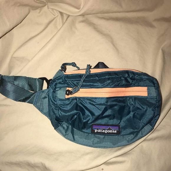 Patagonia Handbags - NWT Patagonia lightweight Travel mini hip pack